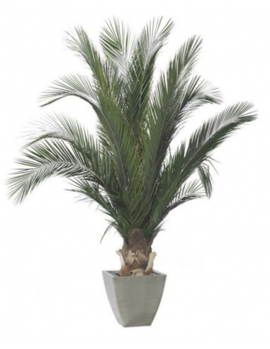 Palmera base 200cm