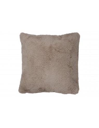 Coussin Oscar 45x45cm