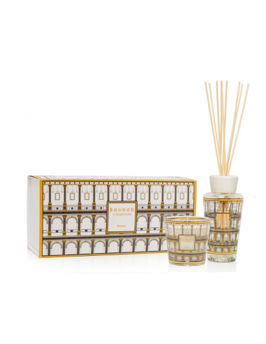 Coffret My First Baobab - Roma