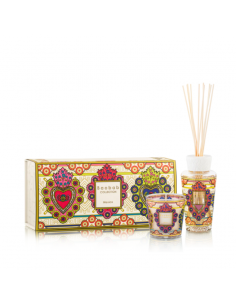Coffret My First Baobab -...