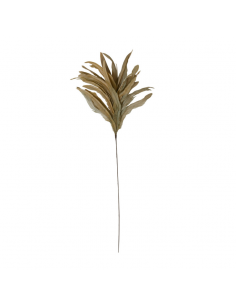 Branche Plume Beige - 70cm