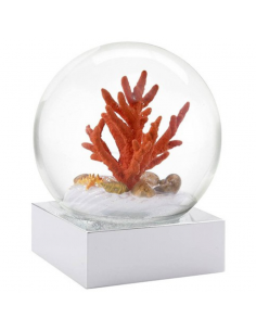 Snow Globe Coral Sea