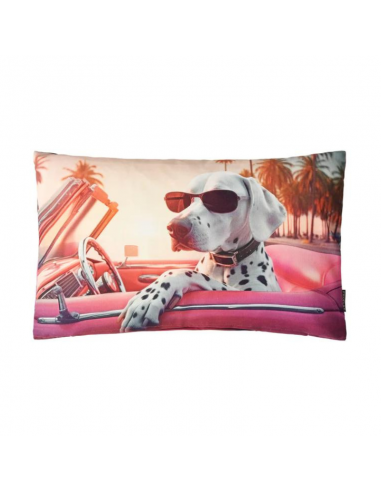 Coussin Dalmatien 30x50cm - 7242