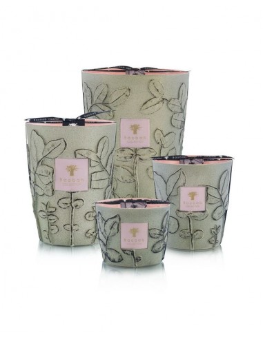 Bougie Folia Maquis