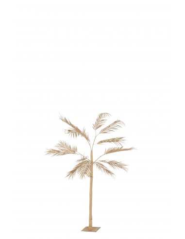 Palmier Gold S H140cm