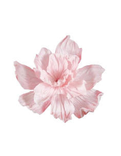 Pivoine géante D100 H70cm -...