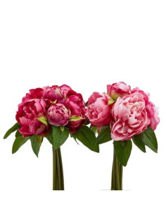 Bouquet de 9 pivoines avec...