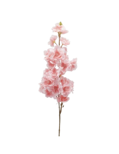 Branche de cerisier Sakura...