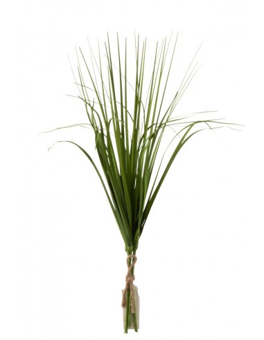 Botte herbes 47cm
