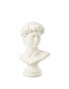 Buste de David