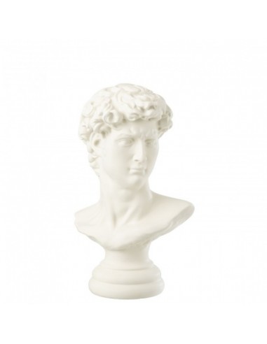 Buste de David
