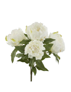 Pivoines blanches avec...