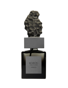 Coffret diffuseur 250ml...