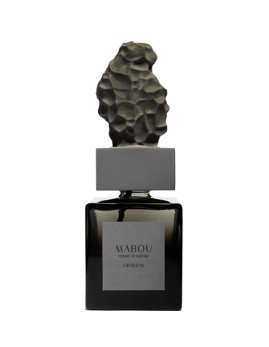 Coffret diffuseur 250ml Obsidian