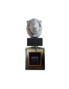 Coffret diffuseur 250ml...