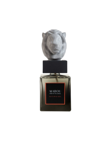 Coffret diffuseur 250ml Nocturnal King