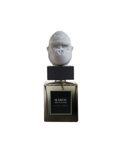 Coffret diffuseur 250ml...