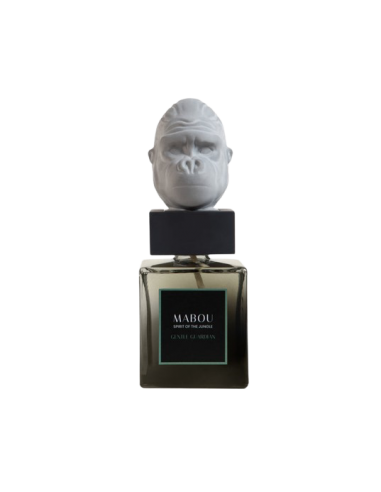 Coffret diffuseur 250ml Gentle Guardian