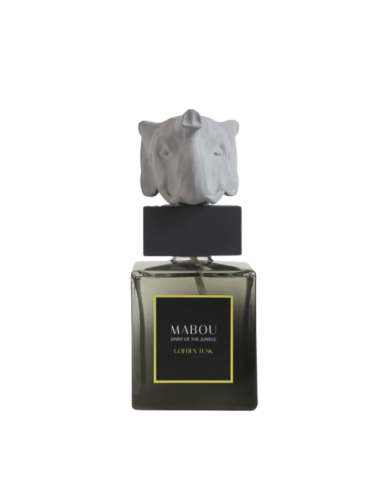 Coffret diffuseur 250ml Golden Tusk