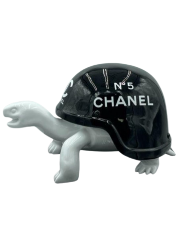 Tortue Gabrielle noire et blanche