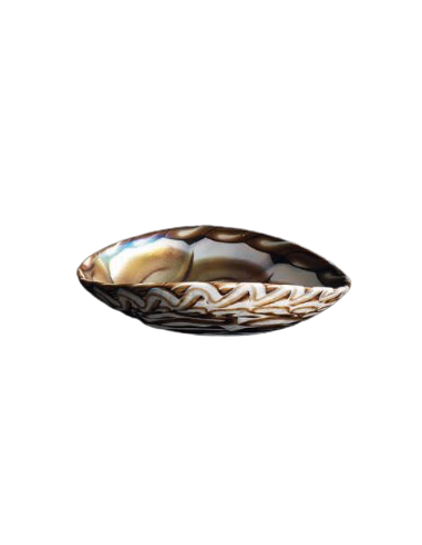 Coupelle Murano PIEGHETTA Caraibi